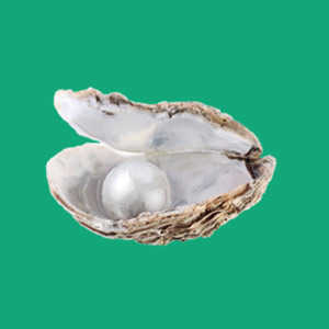 Muschel mit Perle